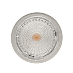 GU10 LED Lamp Fokus
