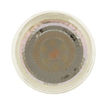 GU10 LED Lamp Klaro Dim2Warm