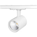 LED Railspot Pavo Wit