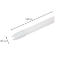 LED TL Buis T8