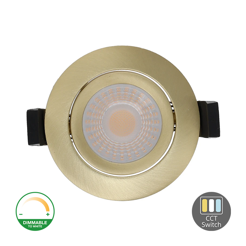 LED Inbouwspot Warmo | Dimbaar | IP65 | 5W/7W | Dim2Warm + CCT Switch | Inbouwdiepte: 25 mm | Goud